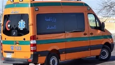 مصرع شخصين وأصابة 2 آخرون فى حادث تصادم باسوان