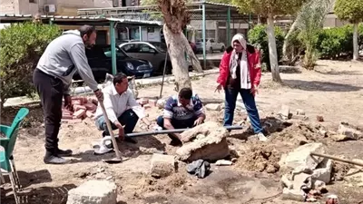 تطوير وتجميل المسطحات الخضراء بالإسماعيلية