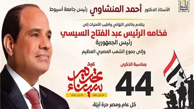 الدكتور المنشاوي يهنئ فخامة الرئيس السيسي بذكرى تحرير سيناء