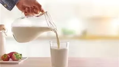 ضبط أطنان من اللبن الفاسد يُثير حكم الغش ويُعيده إلى الواجهة