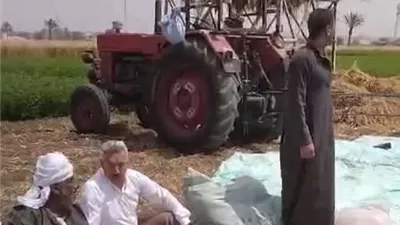 شون وصوامع محافظة المنيا تستقبل أكثر من 35 ألف طن من القمح