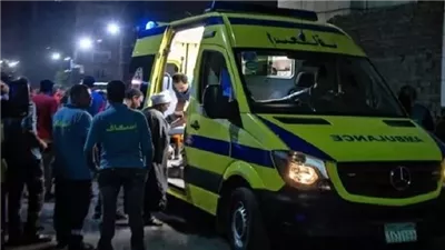 مصرع سائق في حادث تصادم بطريق الشيخ فضل بالمنيا