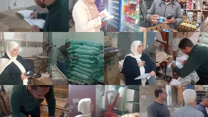تموين القليوبية