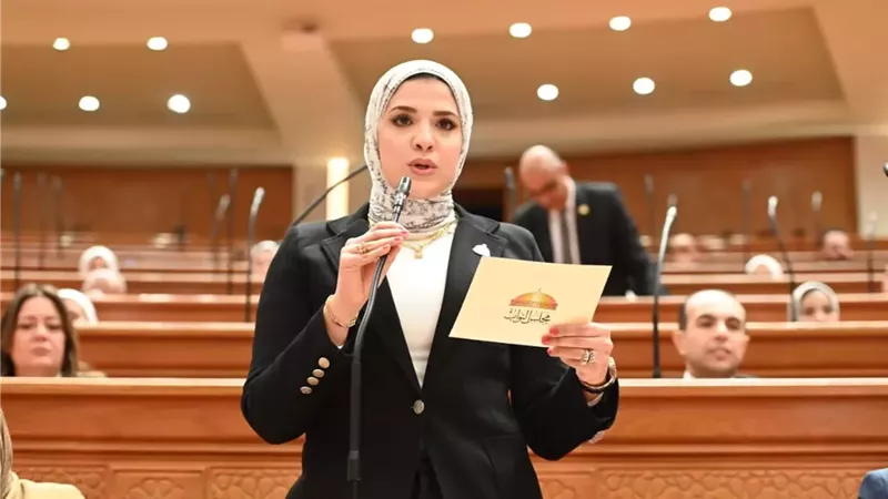 النائبة غادة قنديل