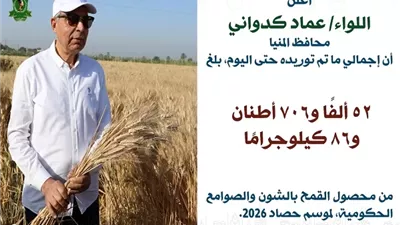 توريد 53 ألف طن قمح إلى الشون والصوامع منذ انطلاق الموسم بالمنيا