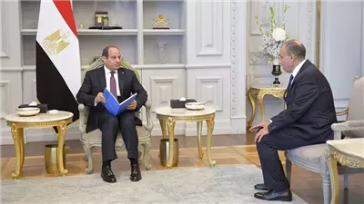الرئيس السيسي يوجه بضرورة تقديم أقصى درجات الرعاية لأبناء الوطن في الخارج