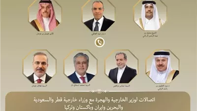 وزير الخارجية يؤكد أن تغليب لغة الحوار هو السبيل الأوحد لدعم