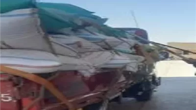 توريد 28 ألف طن قمح لمواقع التخزين والصوامع بالدقهلية