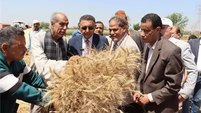 محافظ القليوبية يتفقد حصاد القمح 2026 ويؤكد على دعم المزارعين وزيادة الإنتاج