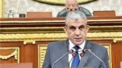 عبد الفضيل يشكر الرئيس السيسي على منحه وسام العمل من الطبقة الأولى