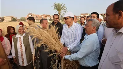 كدواني يحصد القمح مع المزارعين ويؤكد: دعم الفلاح أولوية وطنية