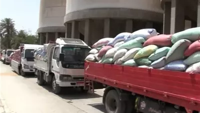 محافظ سوهاج يعلن توريد 57 ألف طن قمح وتجهيز 15 موقعاً تخزينياً