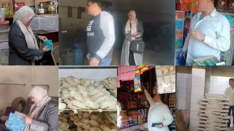 تموين القليوبية