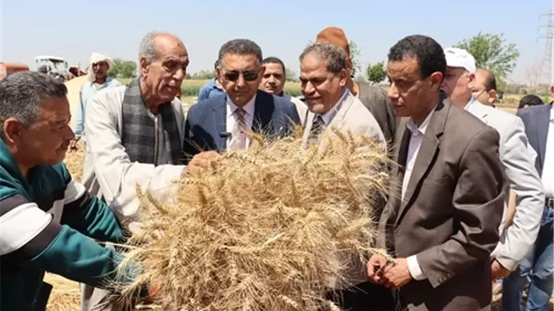المهندس حسام عبدالفتاح