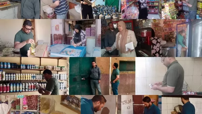 تموين القليوبية