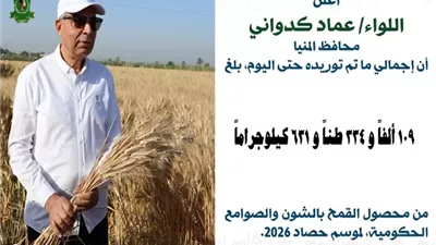حصاد التوريد يتجاوز 109 آلاف طن قمح منذ بداية موسم 2026 بالمنيا