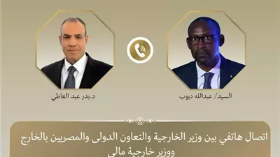 وزير الخارجية يبحث مع نظيره المالي جهود مكافحة الارهاب فى الساحل