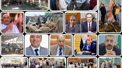 ضبط الأسواق ومنع العشوائية.. تحركات مكثفة لحماية المواطنين