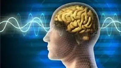 قوانين إلهية تحكم منطق العقل البشرى عند التصرفات