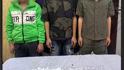 أمن القليوبية يضبط 