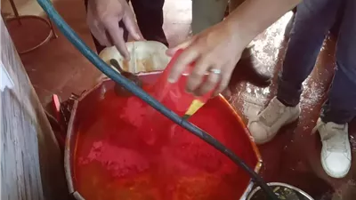 الرقابة تضرب في مغاغة.. 48 محضرًا وإعدام ربع طن أغذية