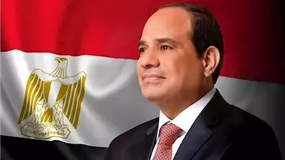 الرئيس السيسي يبحث تعزيز التعاون مع المجلس العالمي للسفر والسياحة