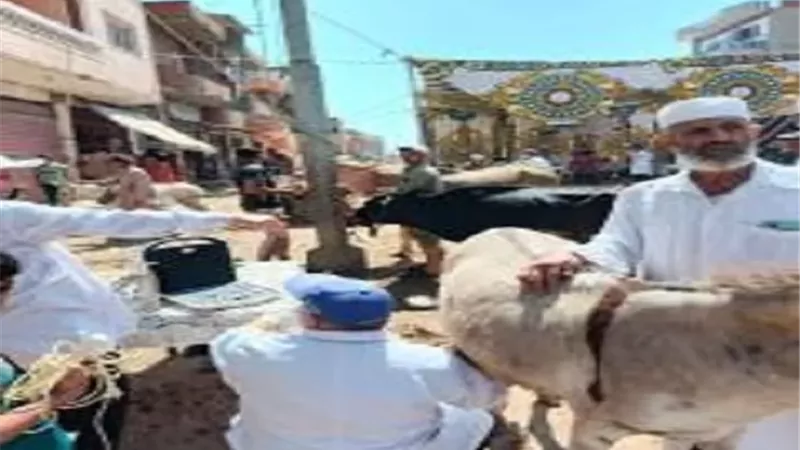 بوابة الجمهورية