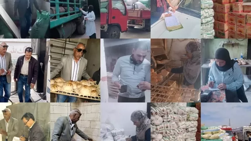 تموين القليوبية