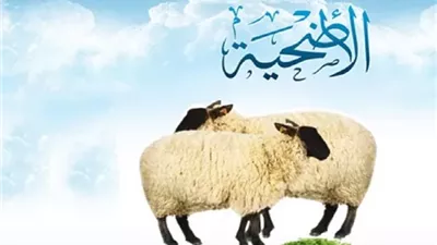 الشروط المُعتبرة فى سِنّ الأضحية