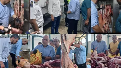 بيطري القليوبية تضبط لحومًا غير مطابقة وسلخانة مخالفة بمدينة العبور