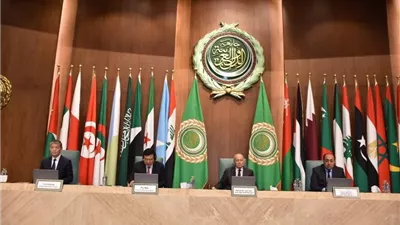 أبو الغيط: نعمل على تعزيز الصداقة العربية-الصينية وتعميق التعاون