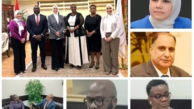القاهرة مركز إقليمي للتدريب الضريبى