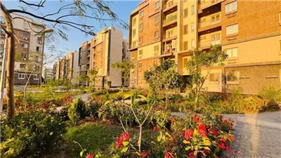 وزيرة الإسكان توجه برفع كفاءة النظافة والزراعة بالمدن الجديدة