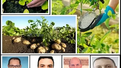 الزراعة النظيفة.. ضرورة اقتصادية لحماية الأمن الغذائي وتعزيز الصادرات