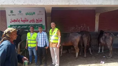 توزيع عدد 10رؤوس ماشية عشار للأسر الأولى بالرعاية بالمنيا