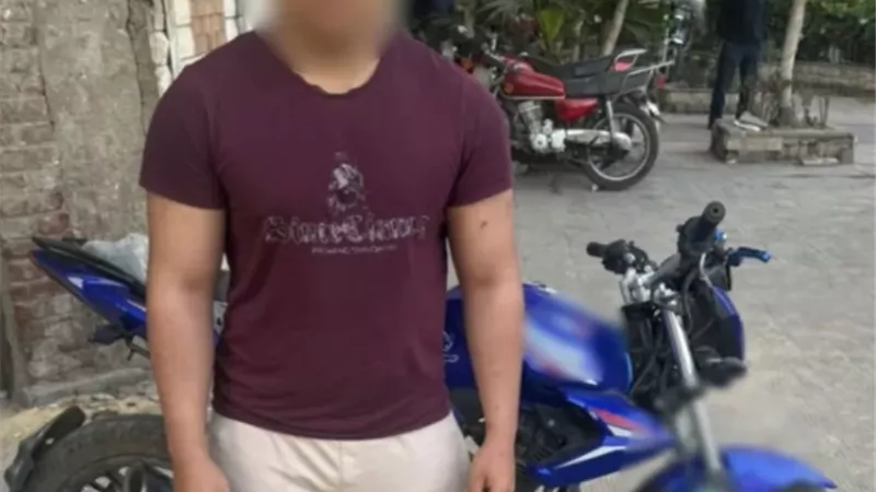بوابة الجمهورية