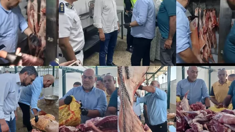 الطب البيطري بالقليوبية