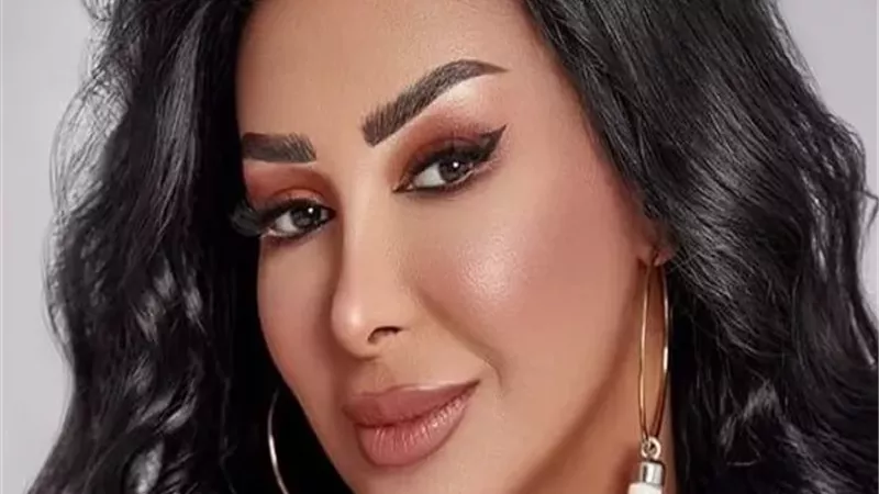 هاني شاكر