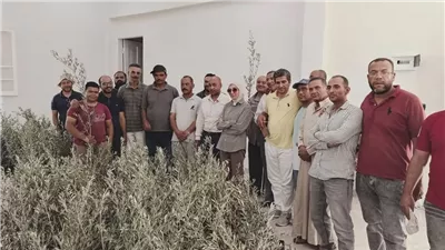 محافظ جنوب سيناء يستجيب سريعًا لمتضرري تجمع النهايات برأس سدر