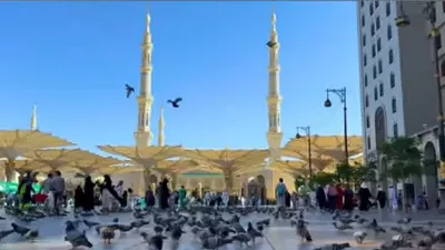 الداخلية تواصل تقديم الخدمات المتكاملة لحجاج القرعة بالمدينة المنورة .. فيديو