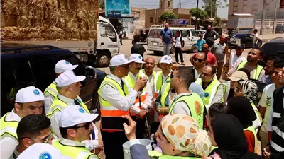 محافظ كفرالشيخ يتفقد أعمال النظافة والتجميل ورفع كفاءة الشوارع