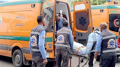 مصرع6أشخاص وإصابة9فى حادث تصادم على طريق توشكى