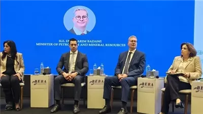 وزير البترول: بدء أعمال الحفر بحقل 