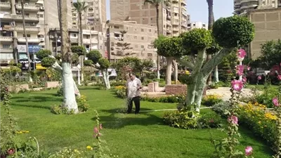 تطوير المسطحات الخضراءوالحدائق العامة بالمنتزة