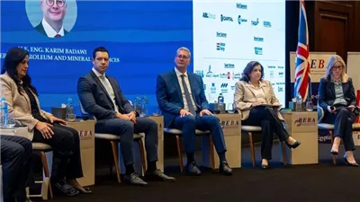 بدوي:خفض مستحقات الشركاءالأجانب من6.1 ملياردولارلـ440مليون دولار