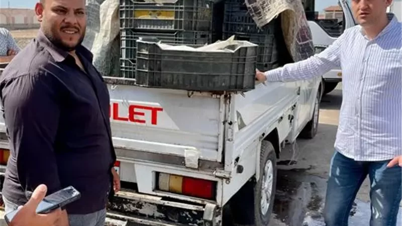 بوابة الجمهورية