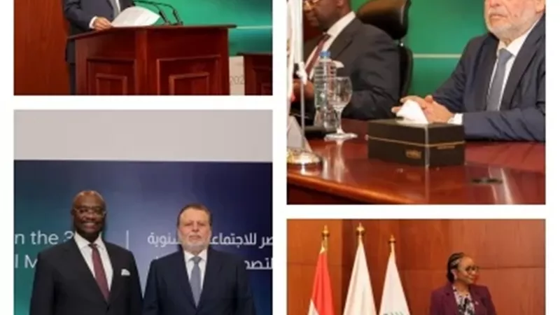 محافظ البنك المركزي