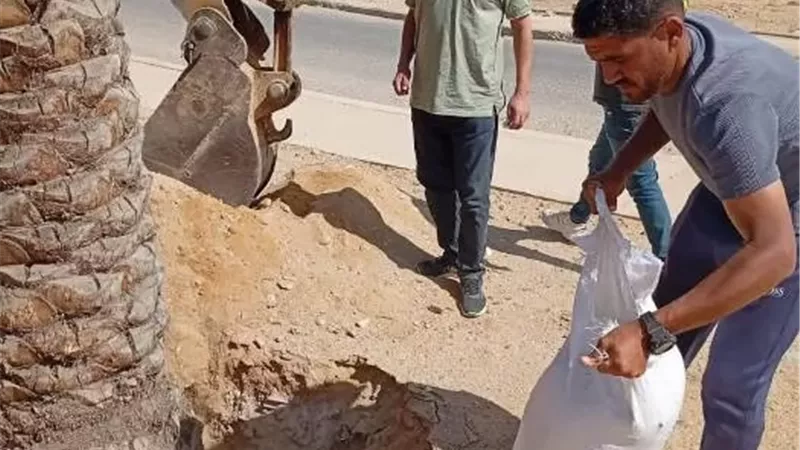 بوابة الجمهورية