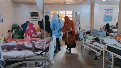 السودان يعلن حملة للتخلص من الملاريا وتسجيل 45 إصابة جديدة بالضنك