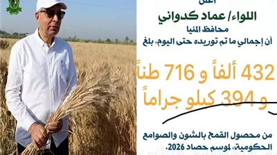 حصاد التوريد بمراكز محافظة المنيا يتجاوز 432 ألف طن قمح